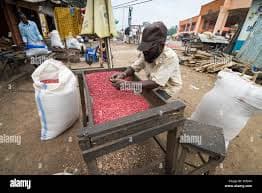 Peanut processing