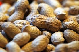 Harvested peanuts